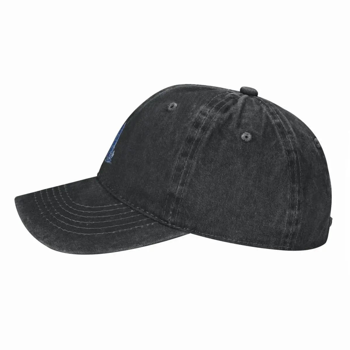 Windsurfing Gifts and Gear Hat Life begins at 25 knots windsurfing Cap